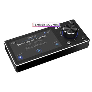 Esx Color Display For Controlling The Hd Audio Player And Presets