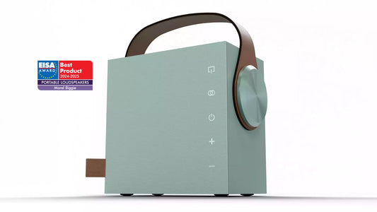 Morel Biggie Portable Wireless Speaker - All Colours official Morel image 1