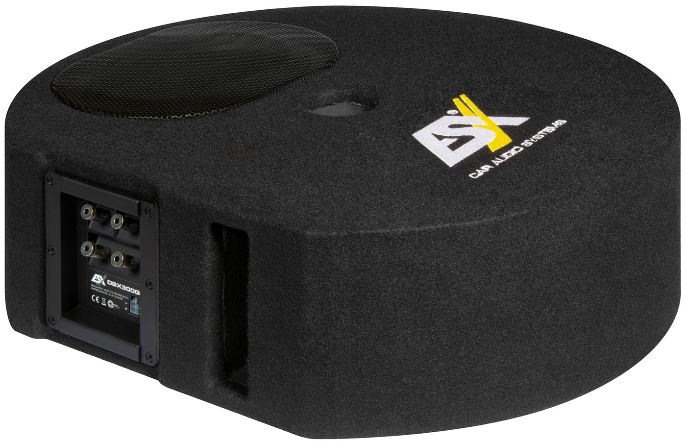Official ESX DBX300Q spare wheel subwoofer front angle