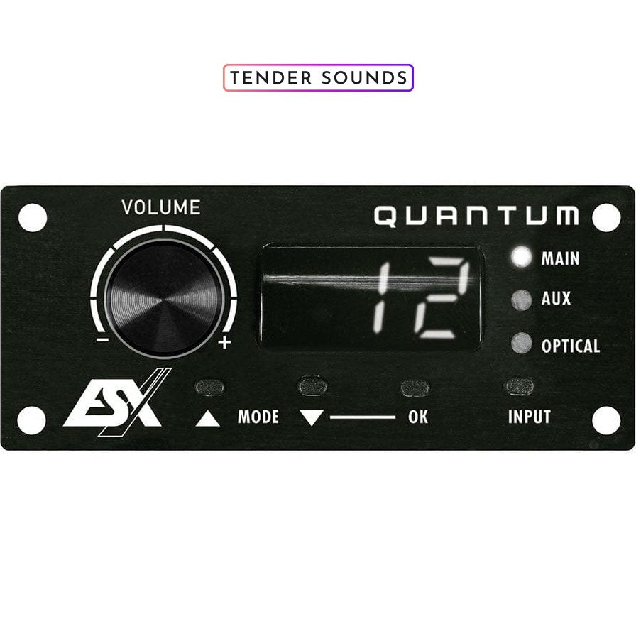 Esx Quantum 4Ch Dsp Amp Qe80.4Dsp