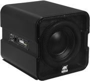 Official ESX product image: Esx Vision Compact Active Subwoofer V-1600A