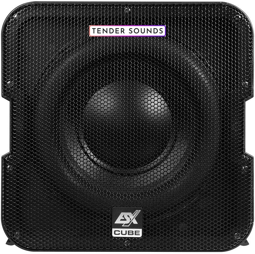 Esx Vision Compact Active Subwoofer V-1600A