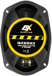 Official ESX product image: Esx Quantum Triax 6X9" Qxe-693