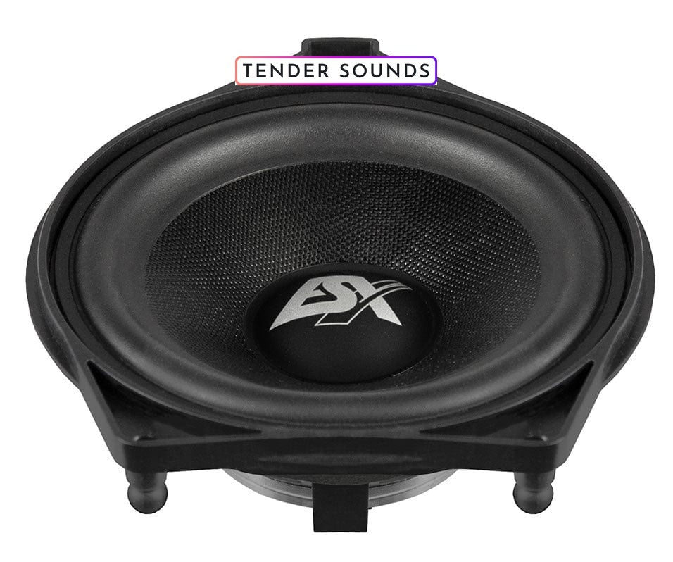 Esx Vision Center Speaker 10Cm Vxm40F