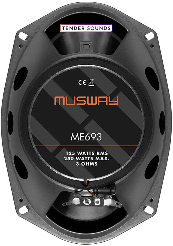 MUSWAY Coax 6x9" ME-693