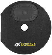 ESX Q300AV2 Quantum Active Spare Wheel Subwoofer manufacturer image 3