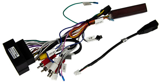 ESX CAN bus DBJ from 2020 product image